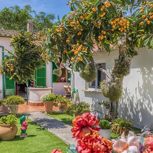 Casa Vileta , Palma de Mallorca España